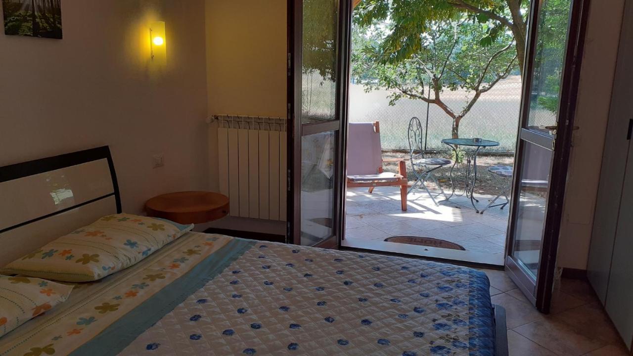 B&B Il Pizzagiallo Massa Martana Eksteriør bilde