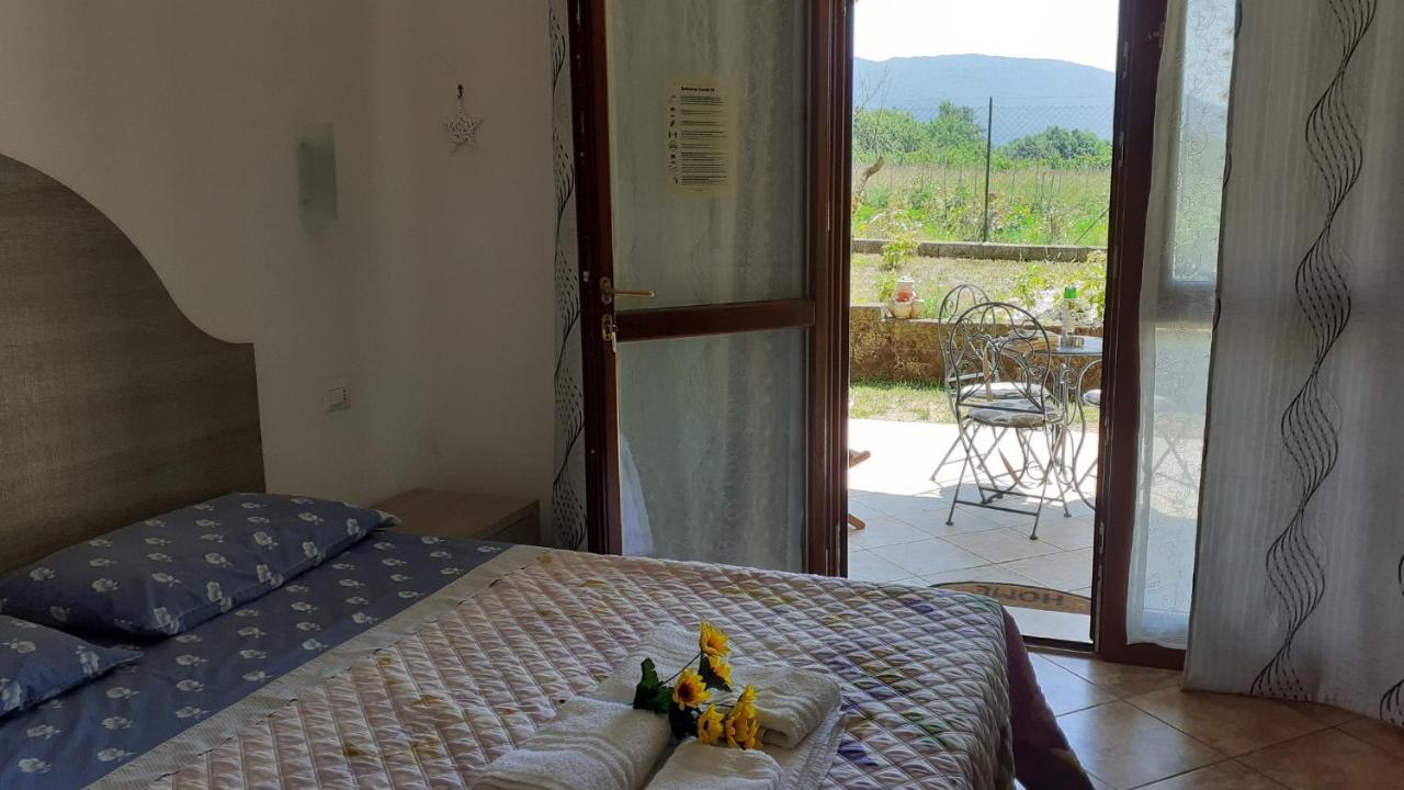 B&B Il Pizzagiallo Massa Martana Eksteriør bilde