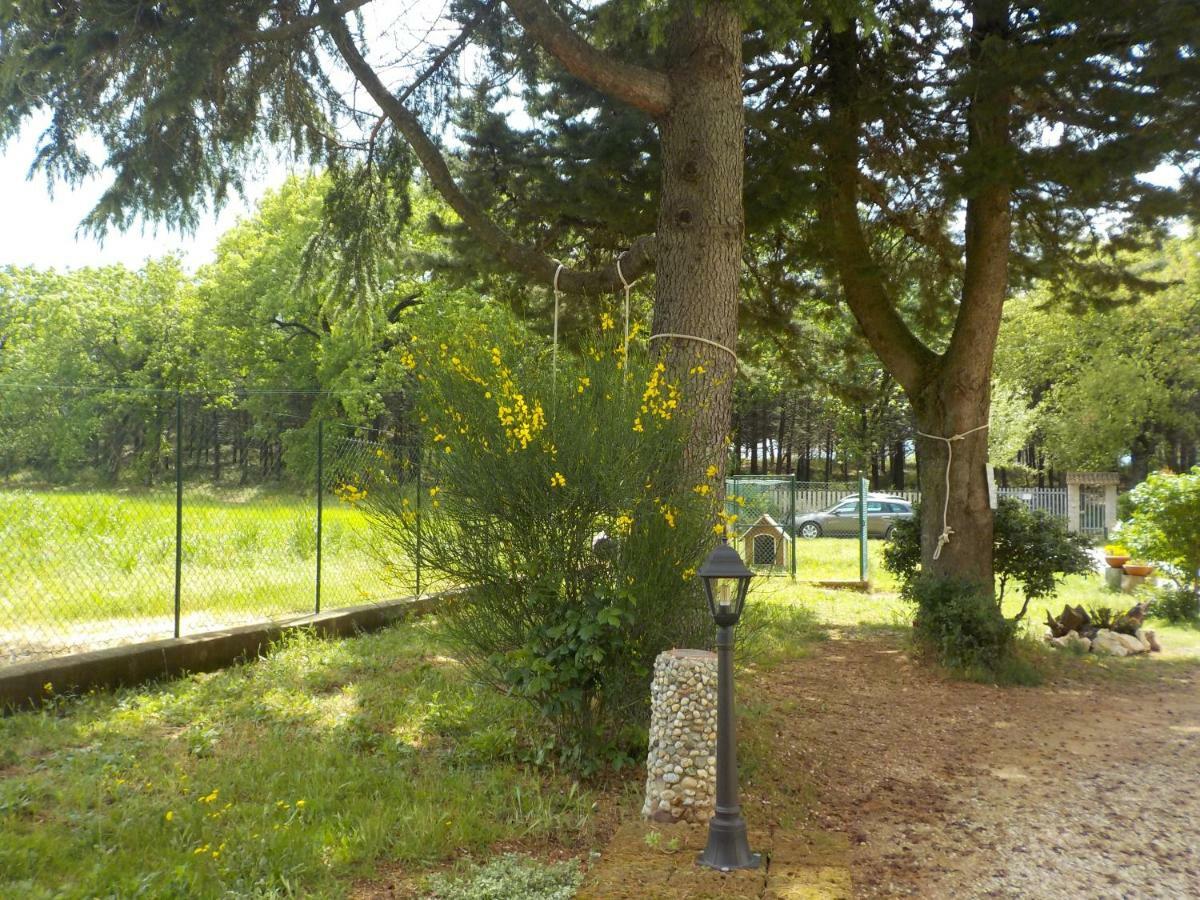 B&B Il Pizzagiallo Massa Martana Eksteriør bilde